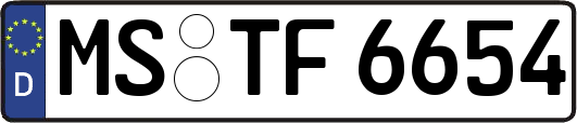 MS-TF6654