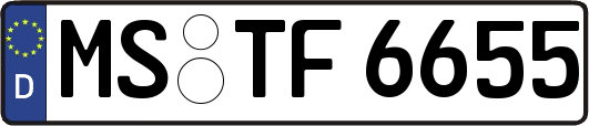 MS-TF6655