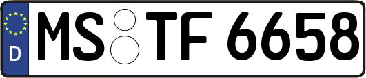 MS-TF6658