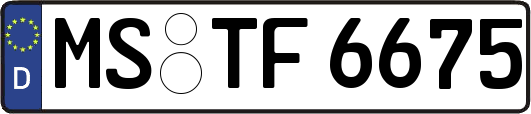 MS-TF6675