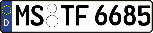 MS-TF6685