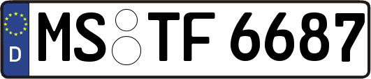 MS-TF6687