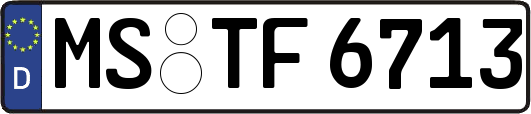 MS-TF6713