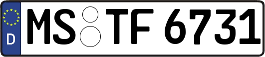 MS-TF6731
