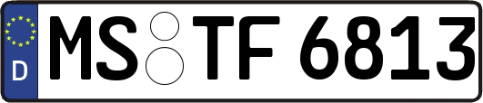 MS-TF6813