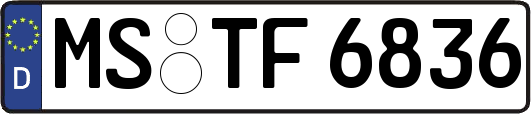 MS-TF6836