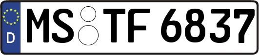 MS-TF6837