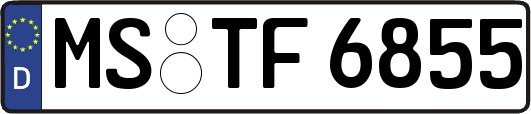 MS-TF6855