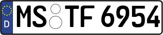 MS-TF6954