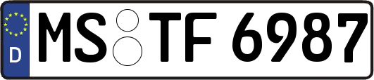 MS-TF6987