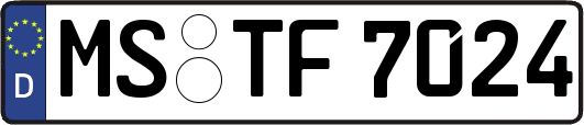 MS-TF7024