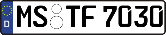 MS-TF7030