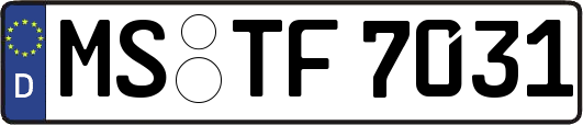 MS-TF7031