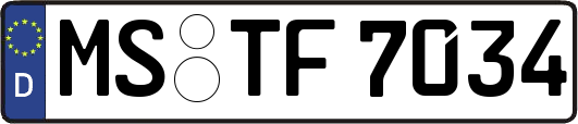MS-TF7034