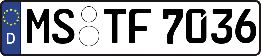 MS-TF7036