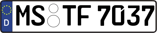 MS-TF7037
