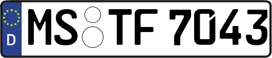 MS-TF7043