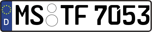 MS-TF7053