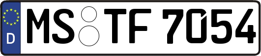 MS-TF7054
