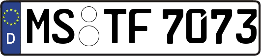 MS-TF7073