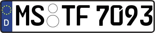 MS-TF7093
