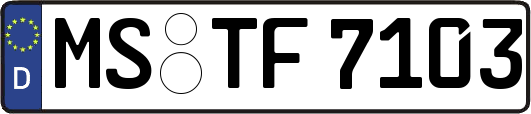 MS-TF7103