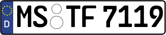 MS-TF7119