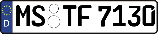 MS-TF7130