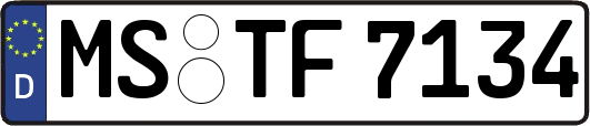 MS-TF7134