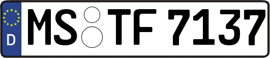 MS-TF7137