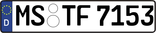 MS-TF7153