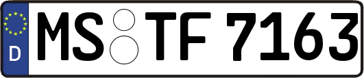 MS-TF7163
