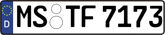 MS-TF7173
