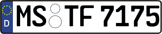 MS-TF7175
