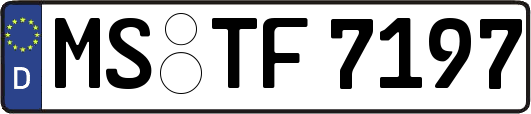 MS-TF7197