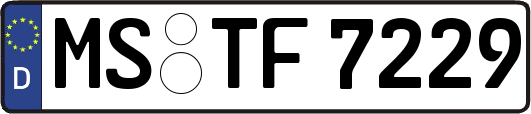 MS-TF7229