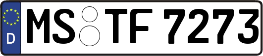 MS-TF7273