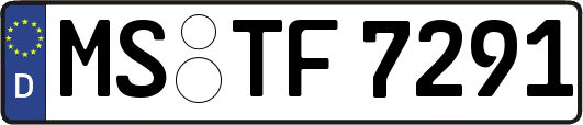 MS-TF7291