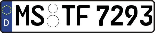 MS-TF7293