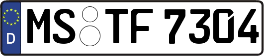 MS-TF7304
