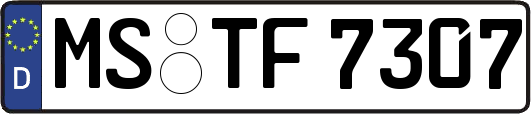 MS-TF7307