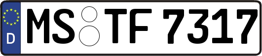 MS-TF7317