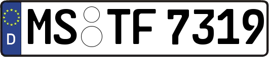MS-TF7319