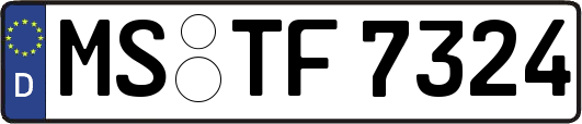 MS-TF7324