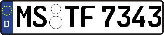 MS-TF7343