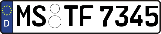 MS-TF7345