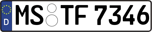 MS-TF7346