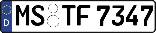 MS-TF7347