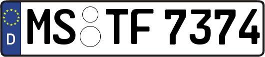 MS-TF7374