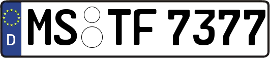 MS-TF7377